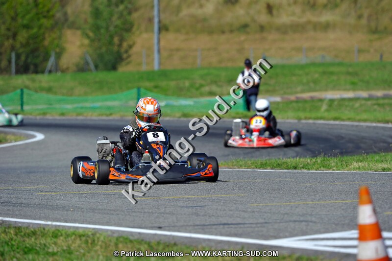 DSC_ (1733).jpg
